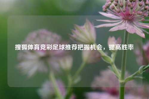 搜狐体育竞彩足球推荐把握机会，提高胜率