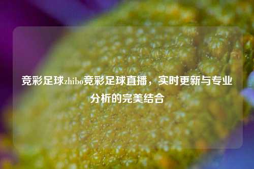 竞彩足球zhibo竞彩足球直播，实时更新与专业分析的完美结合