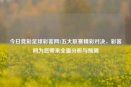 今日竞彩足球彩客网5五大联赛精彩对决，彩客网为您带来全面分析与预测