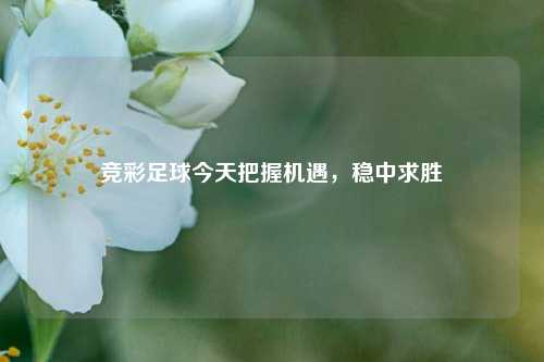 竞彩足球今天把握机遇，稳中求胜