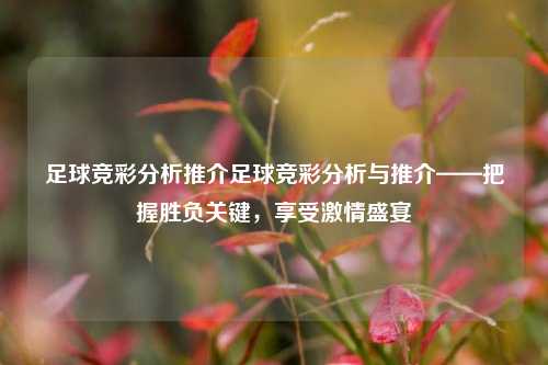 足球竞彩分析推介足球竞彩分析与推介——把握胜负关键，享受激情盛宴