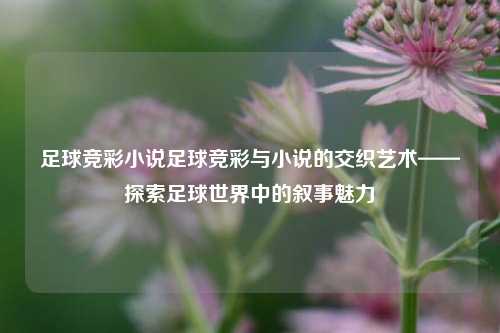 足球竞彩小说足球竞彩与小说的交织艺术——探索足球世界中的叙事魅力