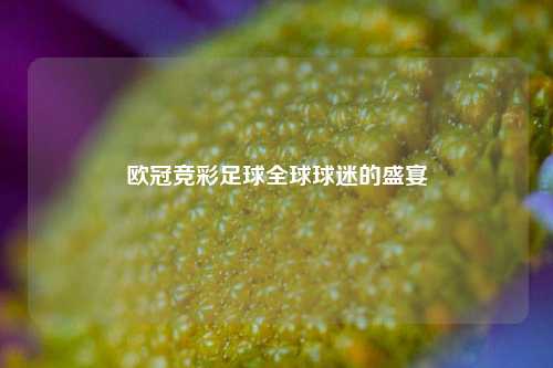 欧冠竞彩足球全球球迷的盛宴