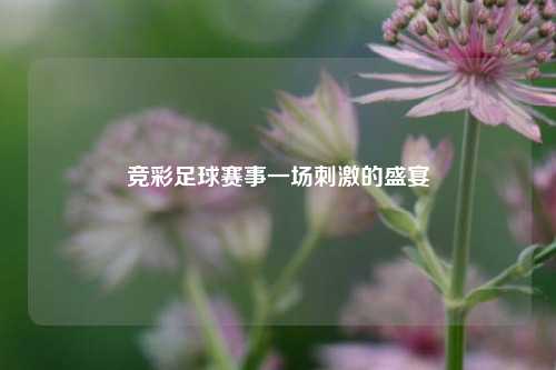 竞彩足球赛事一场刺激的盛宴