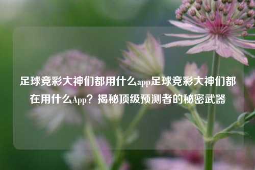 足球竞彩大神们都用什么app足球竞彩大神们都在用什么App？揭秘顶级预测者的秘密武器