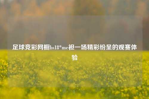 足球竞彩网橱bs18*me袒一场精彩纷呈的观赛体验