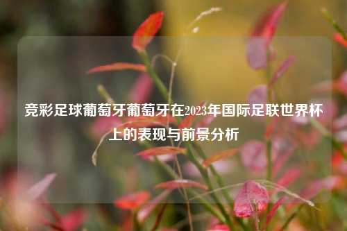竞彩足球葡萄牙葡萄牙在2023年国际足联世界杯上的表现与前景分析