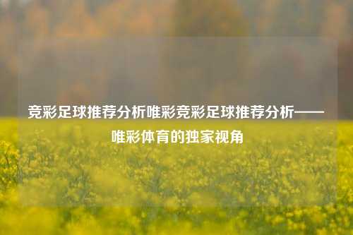竞彩足球推荐分析唯彩竞彩足球推荐分析——唯彩体育的独家视角