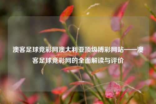 澳客足球竞彩网澳大利亚顶级博彩网站——澳客足球竞彩网的全面解读与评价