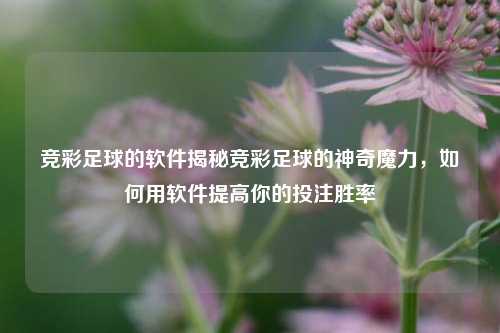 竞彩足球的软件揭秘竞彩足球的神奇魔力，如何用软件提高你的投注胜率