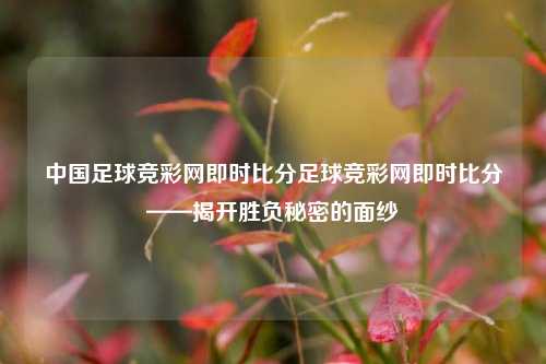 中国足球竞彩网即时比分足球竞彩网即时比分——揭开胜负秘密的面纱