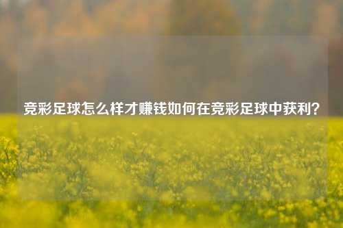 竞彩足球怎么样才赚钱如何在竞彩足球中获利？