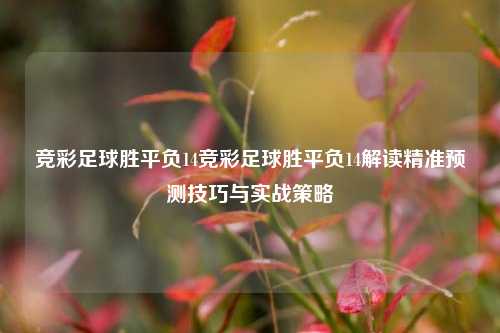 竞彩足球胜平负14竞彩足球胜平负14解读精准预测技巧与实战策略