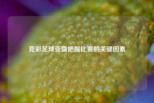 竞彩足球亚盘把握比赛的关键因素
