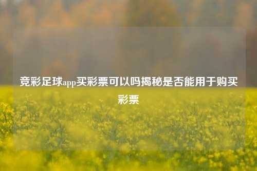 竞彩足球app买彩票可以吗揭秘是否能用于购买彩票