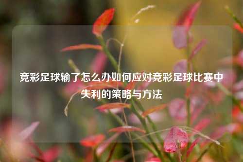 竞彩足球输了怎么办如何应对竞彩足球比赛中失利的策略与方法