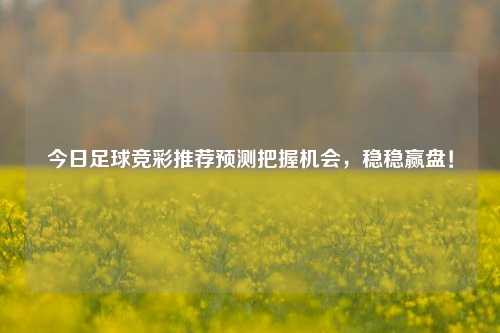 今日足球竞彩推荐预测把握机会，稳稳赢盘！