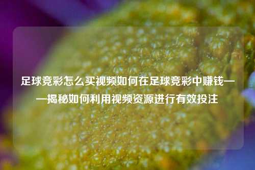 足球竞彩怎么买视频如何在足球竞彩中赚钱——揭秘如何利用视频资源进行有效投注