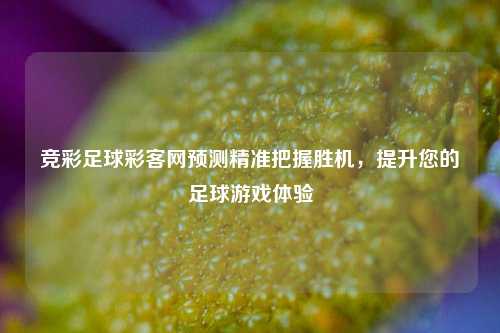 竞彩足球彩客网预测精准把握胜机，提升您的足球游戏体验