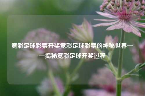 竞彩足球彩票开奖竞彩足球彩票的神秘世界——揭秘竞彩足球开奖过程