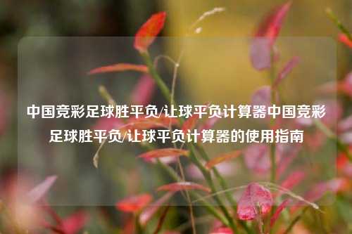 中国竞彩足球胜平负/让球平负计算器中国竞彩足球胜平负/让球平负计算器的使用指南