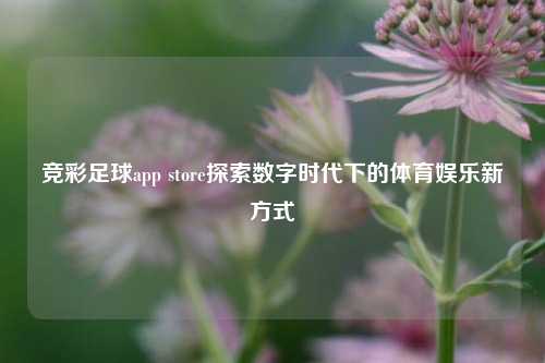 竞彩足球app store探索数字时代下的体育娱乐新方式