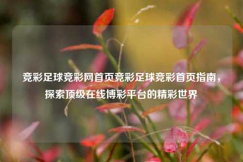 竞彩足球竞彩网首页竞彩足球竞彩首页指南，探索顶级在线博彩平台的精彩世界