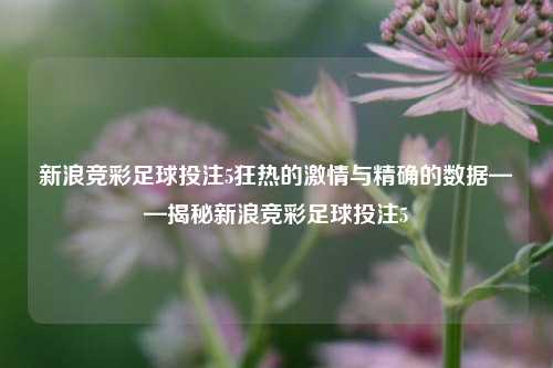 新浪竞彩足球投注5狂热的激情与精确的数据——揭秘新浪竞彩足球投注5