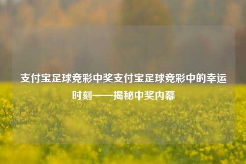 支付宝足球竞彩中奖支付宝足球竞彩中的幸运时刻——揭秘中奖内幕