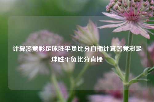 计算器竞彩足球胜平负比分直播计算器竞彩足球胜平负比分直播