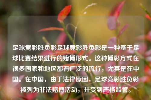 足球竞彩胜负彩足球竞彩胜负彩是一种基于足球比赛结果进行的赌博形式。这种博彩方式在很多国家和地区都有广泛的流行，尤其是在中国。在中国，由于法律原因，足球竞彩胜负彩被列为非法赌博活动，并受到严格监管。