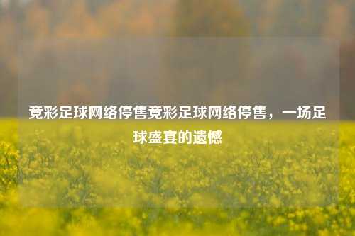竞彩足球网络停售竞彩足球网络停售，一场足球盛宴的遗憾