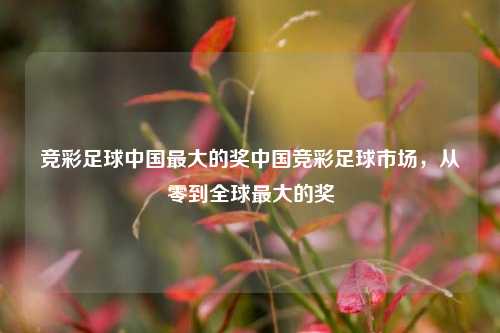 竞彩足球中国最大的奖中国竞彩足球市场，从零到全球最大的奖