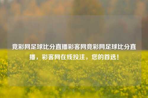 竞彩网足球比分直播彩客网竞彩网足球比分直播，彩客网在线投注，您的首选！