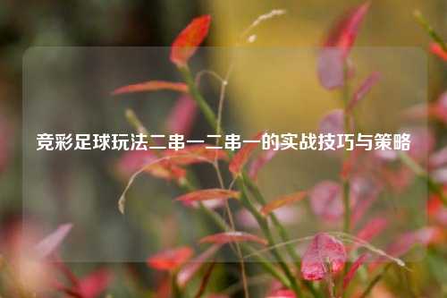 竞彩足球玩法二串一二串一的实战技巧与策略