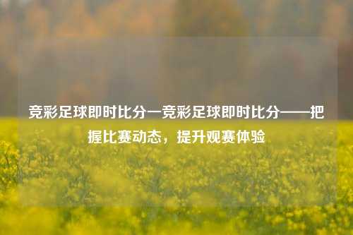 竞彩足球即时比分一竞彩足球即时比分——把握比赛动态，提升观赛体验