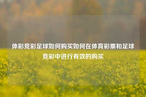 体彩竞彩足球如何购买如何在体育彩票和足球竞彩中进行有效的购买