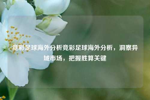 竞彩足球海外分析竞彩足球海外分析，洞察异域市场，把握胜算关键