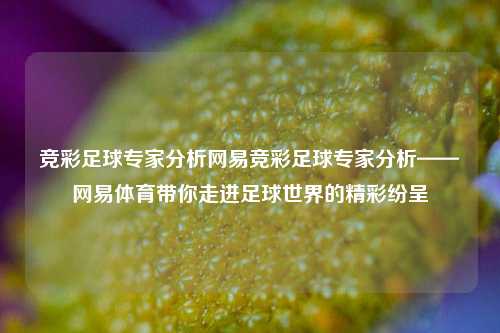 竞彩足球专家分析网易竞彩足球专家分析——网易体育带你走进足球世界的精彩纷呈