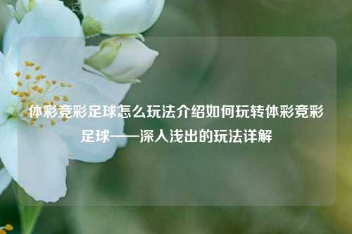 体彩竞彩足球怎么玩法介绍如何玩转体彩竞彩足球——深入浅出的玩法详解