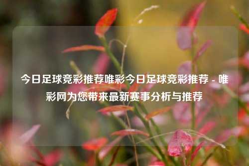 今日足球竞彩推荐唯彩今日足球竞彩推荐 - 唯彩网为您带来最新赛事分析与推荐