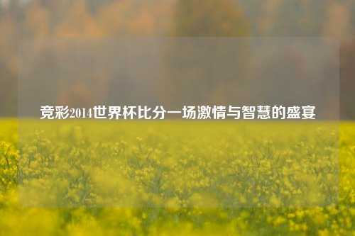 竞彩2014世界杯比分一场激情与智慧的盛宴