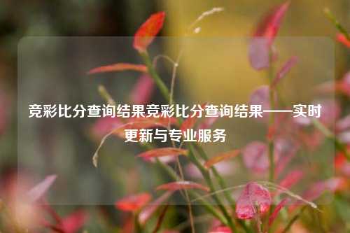 竞彩比分查询结果竞彩比分查询结果——实时更新与专业服务