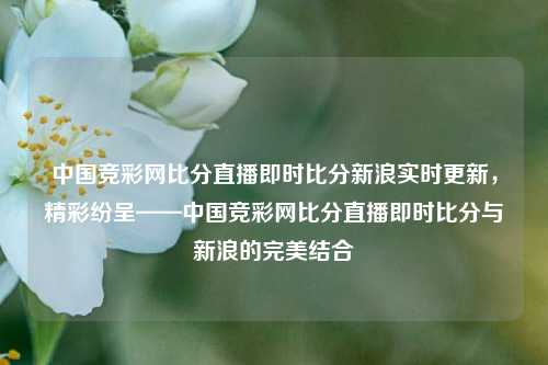 中国竞彩网比分直播即时比分新浪实时更新，精彩纷呈——中国竞彩网比分直播即时比分与新浪的完美结合