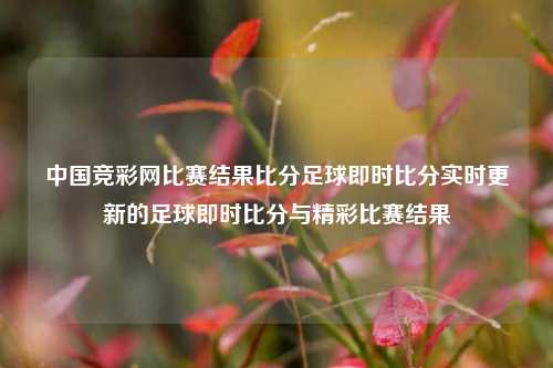 中国竞彩网比赛结果比分足球即时比分实时更新的足球即时比分与精彩比赛结果