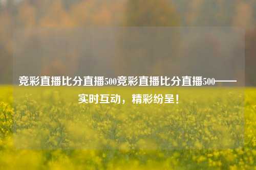 竞彩直播比分直播500竞彩直播比分直播500——实时互动，精彩纷呈！