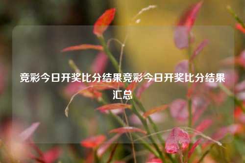竞彩今日开奖比分结果竞彩今日开奖比分结果汇总