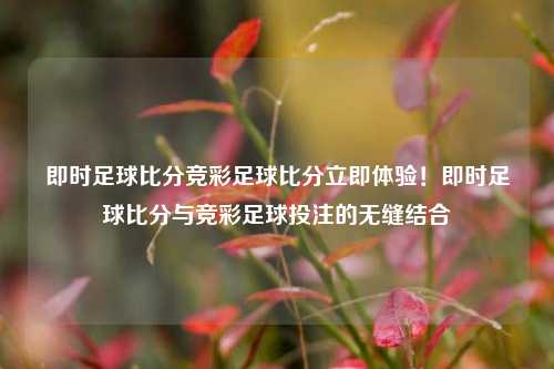 即时足球比分竞彩足球比分立即体验！即时足球比分与竞彩足球投注的无缝结合