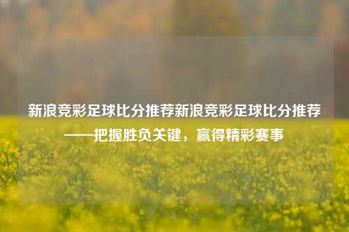 新浪竞彩足球比分推荐新浪竞彩足球比分推荐——把握胜负关键，赢得精彩赛事