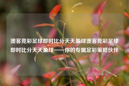 澳客竞彩足球即时比分天天盈球澳客竞彩足球即时比分天天盈球——你的专属足彩策略伙伴